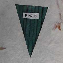 g01-006e.jpg (4825 oCg)