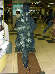 SW05