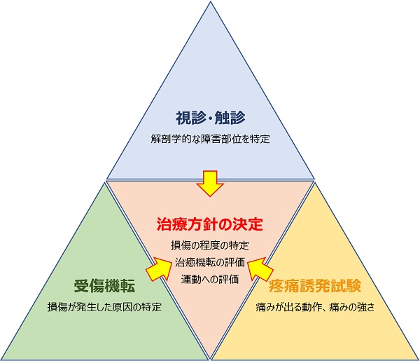 問診の方針