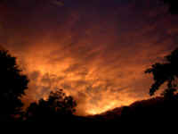 20041009PICT0014.jpg (99606 oCg)