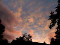 20041009PICT0025.jpg (114366 oCg)