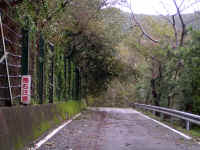 20041009PICT0031.jpg (202860 oCg)