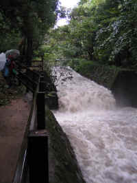 20041009PICT0039.jpg (103264 oCg)