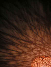 20041009PICT0046.jpg (58109 oCg)