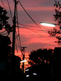20041016PICT0075.jpg (80276 oCg)