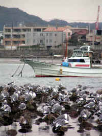 20041024PICT0055.jpg (111966 oCg)