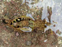 20041024PICT0072.jpg (190139 oCg)