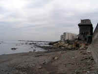 20041024PICT0078.jpg (125173 oCg)