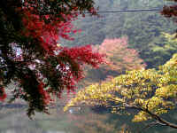20041112PICT0072.jpg (236864 oCg)