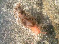 20041113photo PICT0026.jpg (195046 oCg)