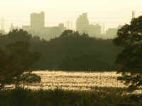 20041116PICT0015.jpg (131579 oCg)