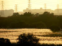 20041116PICT0034.jpg (152712 oCg)