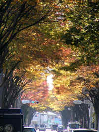 20041123PICT0041.jpg (191477 oCg)