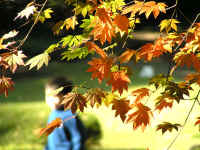 20041123PICT0076.jpg (180384 oCg)
