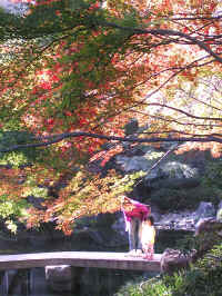 20041123PICT0079.jpg (216534 oCg)