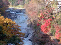 20041126PICT0005.jpg (231371 oCg)