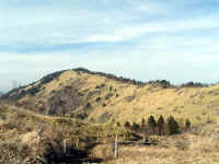 20041126PICT0031.jpg (160552 oCg)