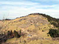20041126PICT0034.jpg (171814 oCg)