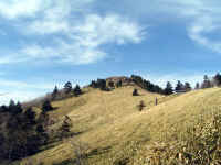 20041126PICT0043.jpg (166995 oCg)