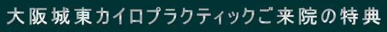 ���铌�J�C���v���N�e�B�b�N�����@�̓��T