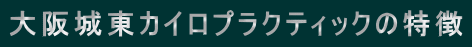 ���铌�J�C���v���N�e�B�b�N�̓��� 