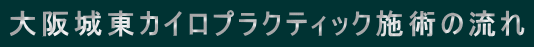���铌�J�C���v���N�e�B�b�N�{�p�̗���