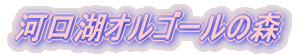 ͌΃IS[̐X