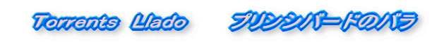 @Torrents  Llado      vVo[h̃o@