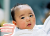 2002spring_093s.png